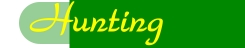 Check Out Whats is Hunted